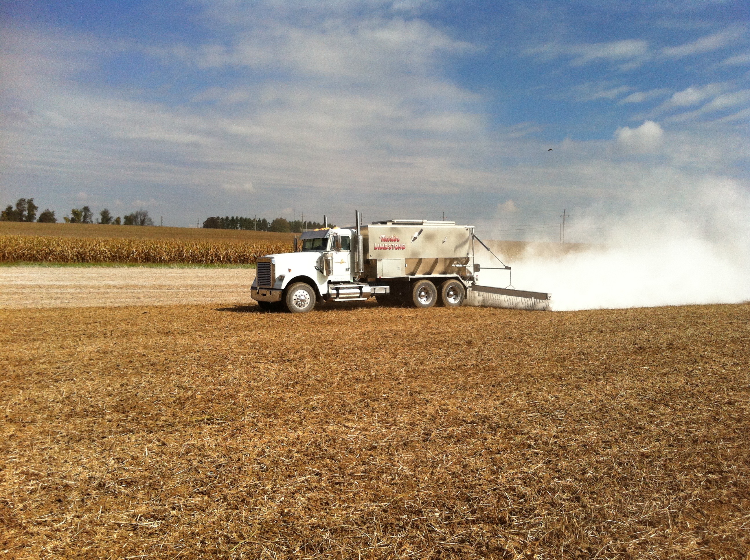 soybeans in a field